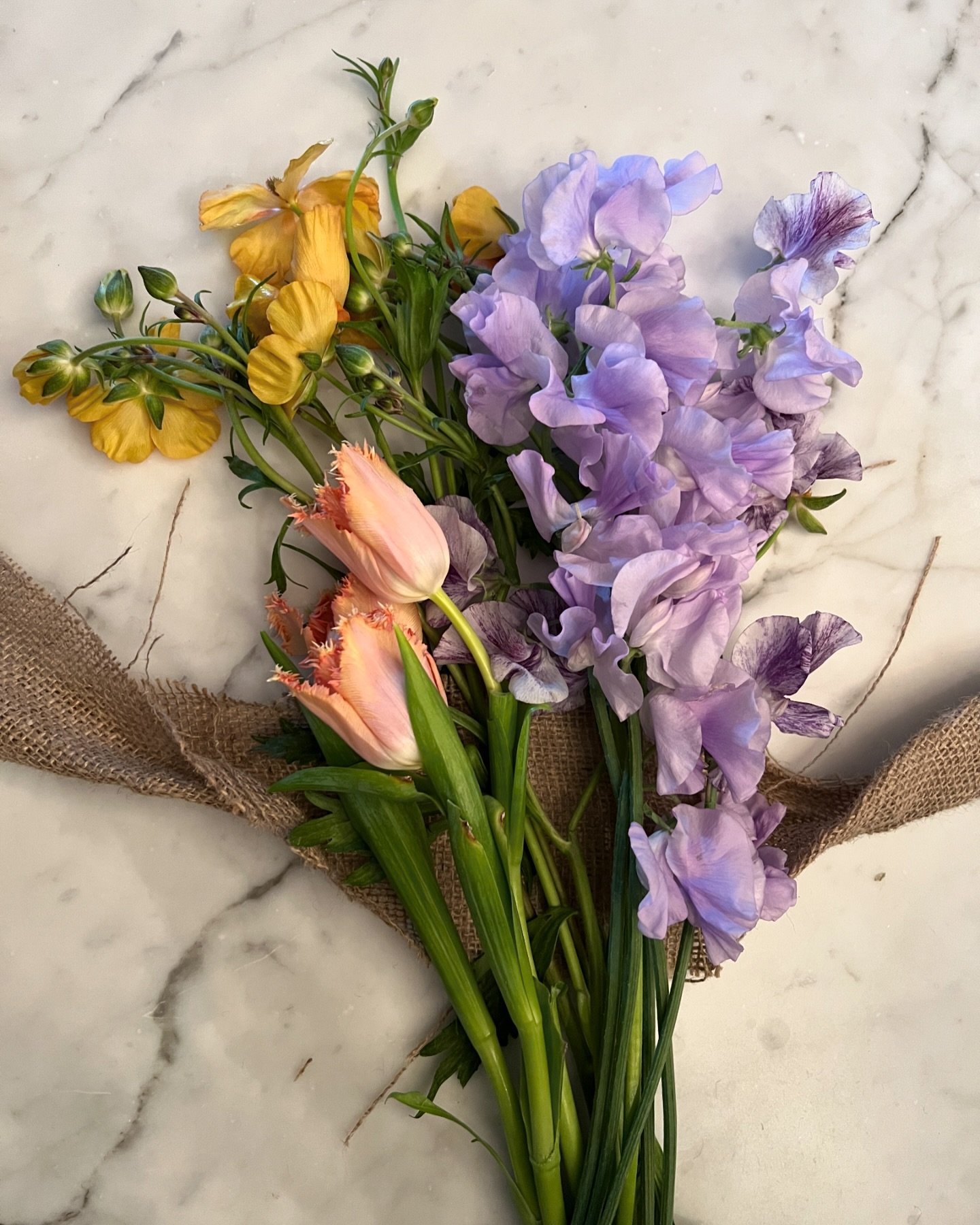 Spring Bouquet 

Simple and sweet, bouquets don&rsquo;t have to be over the top chock full of flowers. I would love to be presented with this any day. The selection of flowers are lovely and I can admire each one. Simple is always best. 
.
.
.
#bouqu