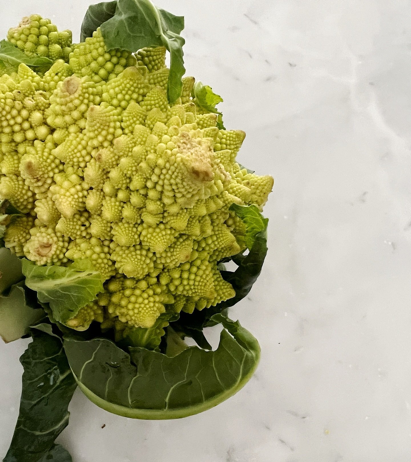 Romanesco 

This Italian vegetable always catches my eye each spring. A gorgeous specimen on its own. I&rsquo;ve actually never cooked one I just buy them to photograph and enjoy in a bowl out on the island. Maybe this is the moment to learn how to m