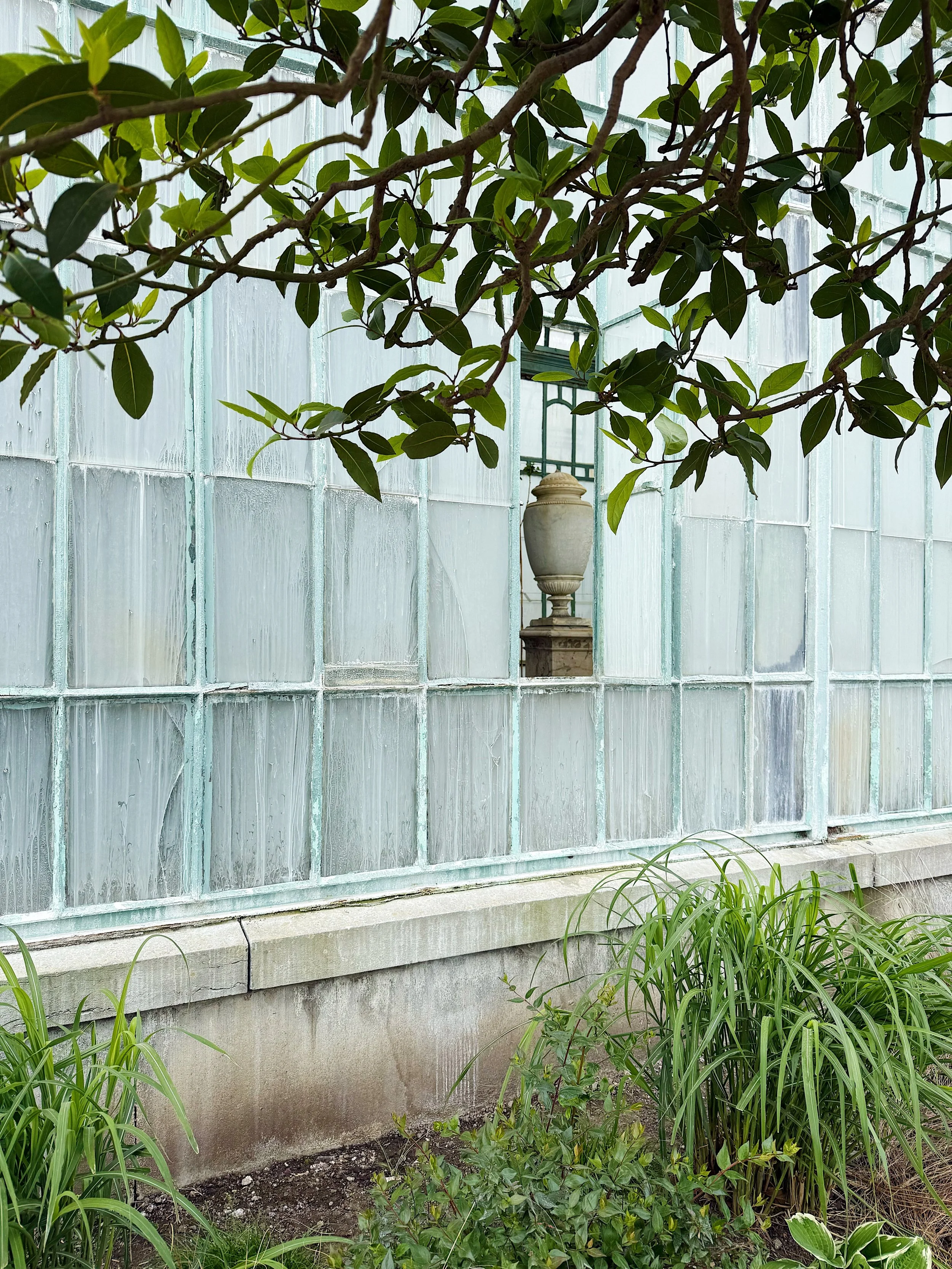 The Royal Greenhouses of Laeken