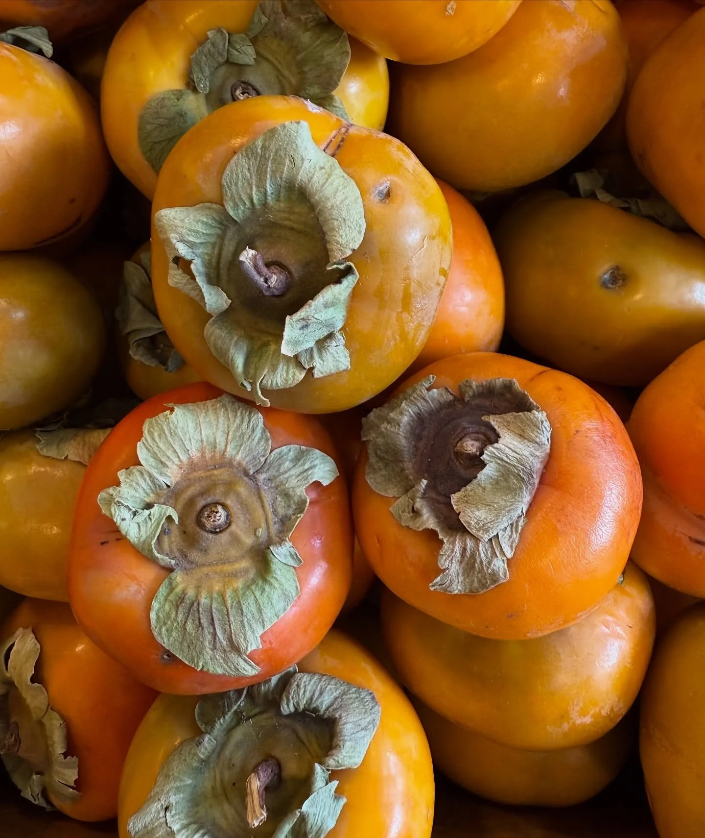 Persimmons 

Nothing says fall like the addition of persimmons at your local market. This batch from @cookbookmarket brightened my day. A great time of year to stop by your local farmers market for some fall cooking and decorating inspiration. Soakin