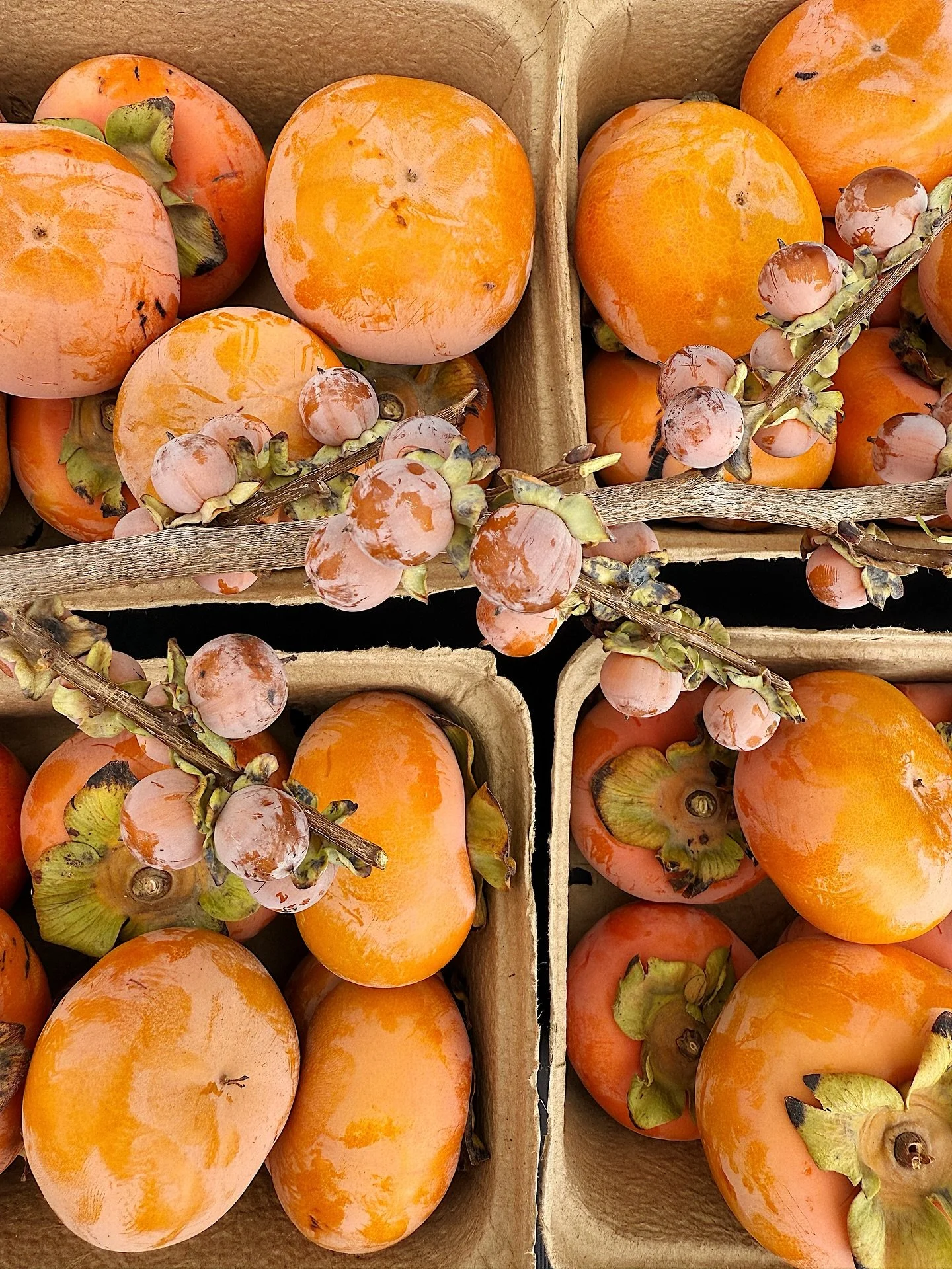 Persimmons 

You are familiar with the regular persimmon but these lilac lotus persimmons on the branch are worth trying too. Just as tasty and easy to add as a topping to yogurt, cereal, decorate a cake or simply enjoy looking at them on the vine. I