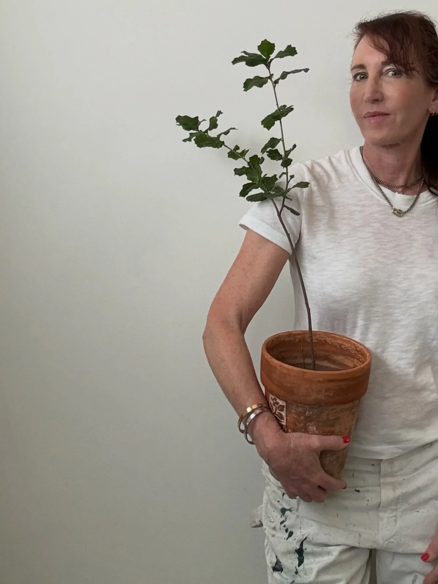 Growth

Four years ago I brought home a gather of acorns from a fall road trip through Northern California. Only one had the potential to sprout. I placed it in a glass vessel designed for acorns to grow. Over the next year I watched it spread out ro