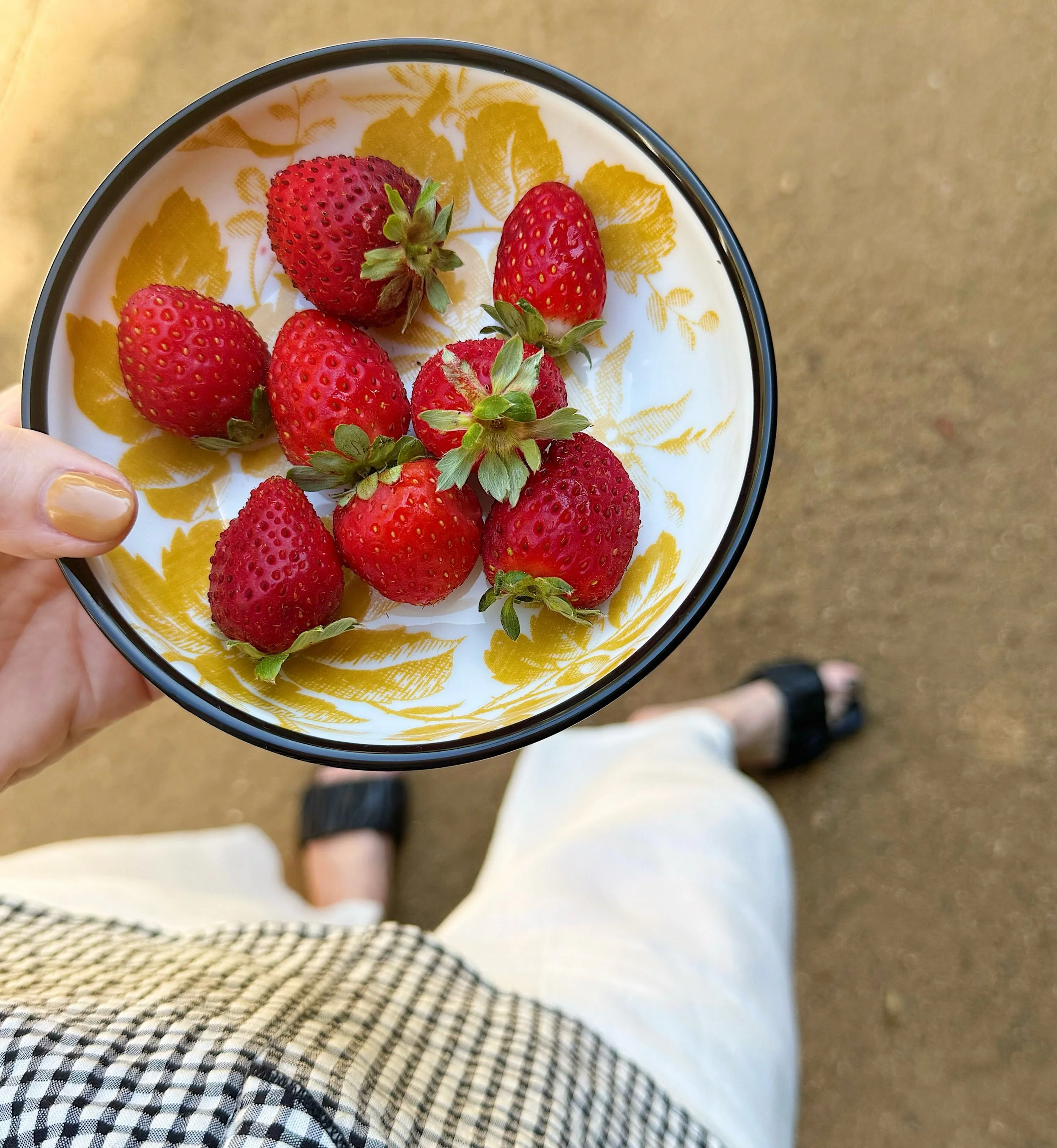 Albion Strawberries 

Farmers market fresh for this girl. Sweet and juicy. 
.
.
.
#strawberries #summerfruit #garden #farmersmarket #organic