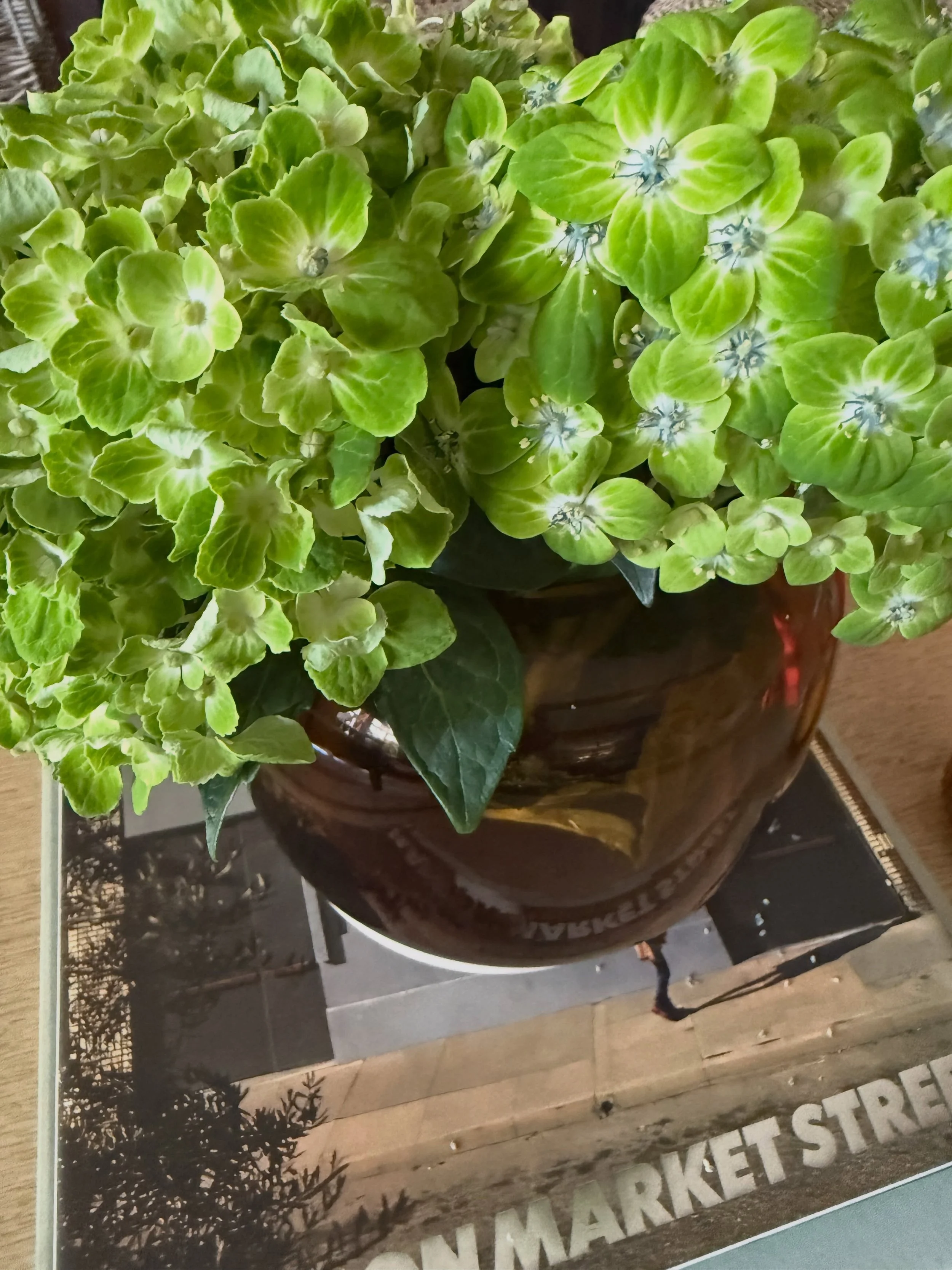 Vignettes Around the House Today

Over the years, I&rsquo;ve added to my home with books, art, treasures from my travels, furniture, dishes, flowers, and all the little things I&rsquo;ve collected along the way. And to me, that&rsquo;s what really ma