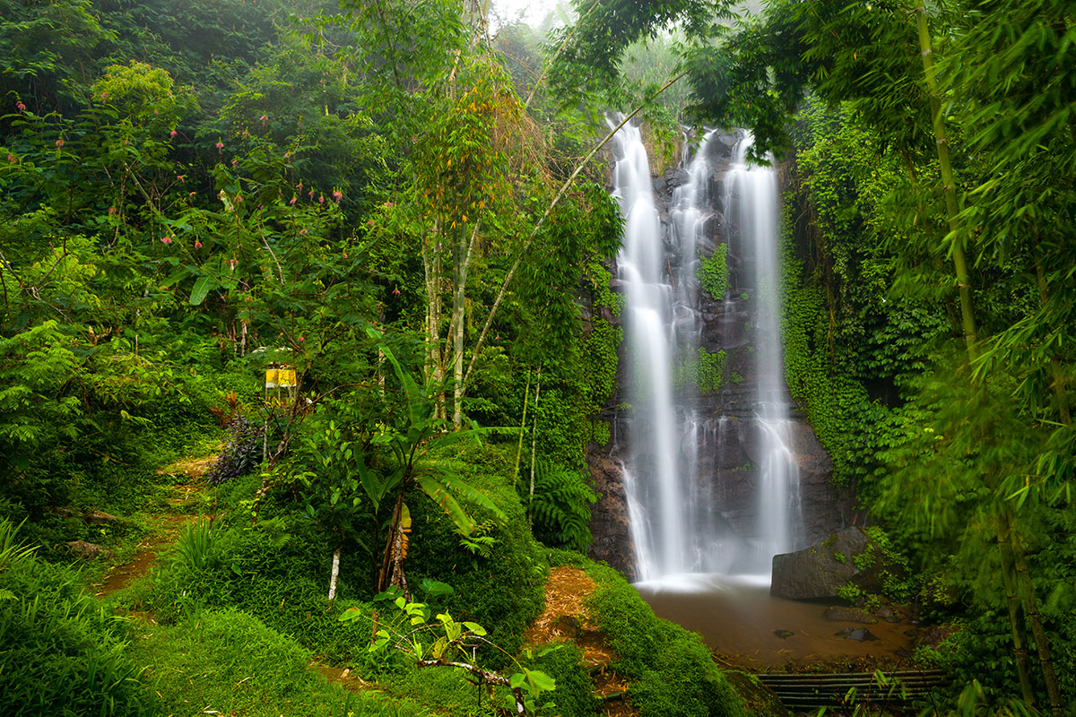 bali-retreatimage.jpg