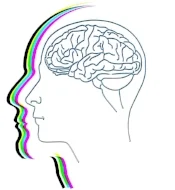 Brain; speech therapy for articulation problems, talking difficulties, language comprehension, language expression, memory difficulties at Canto Speech Therapy Online