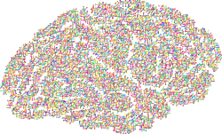 Brain and reading; treat dyslexia, a leaning disability, at Canto Speech Therapy Online