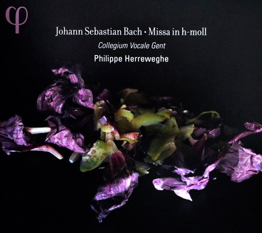 Collegium Vocale Gent
Philippe Herreweghe
Bach: B minor Mass
Phi LPH004
Bart Vandewege, bass