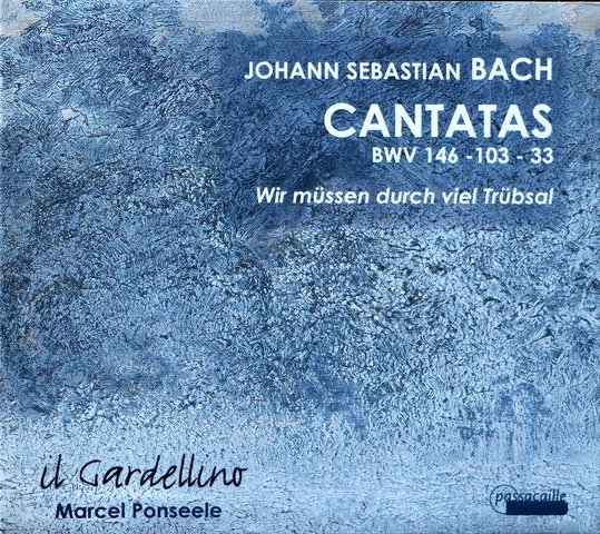 Il Gardellino
Marcel Ponseele
Bach: Cantatas
Passacaille 987
Bart Vandewege, bass
