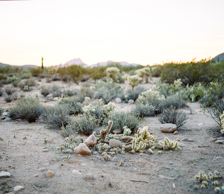 bohemian home decor shop slo designs