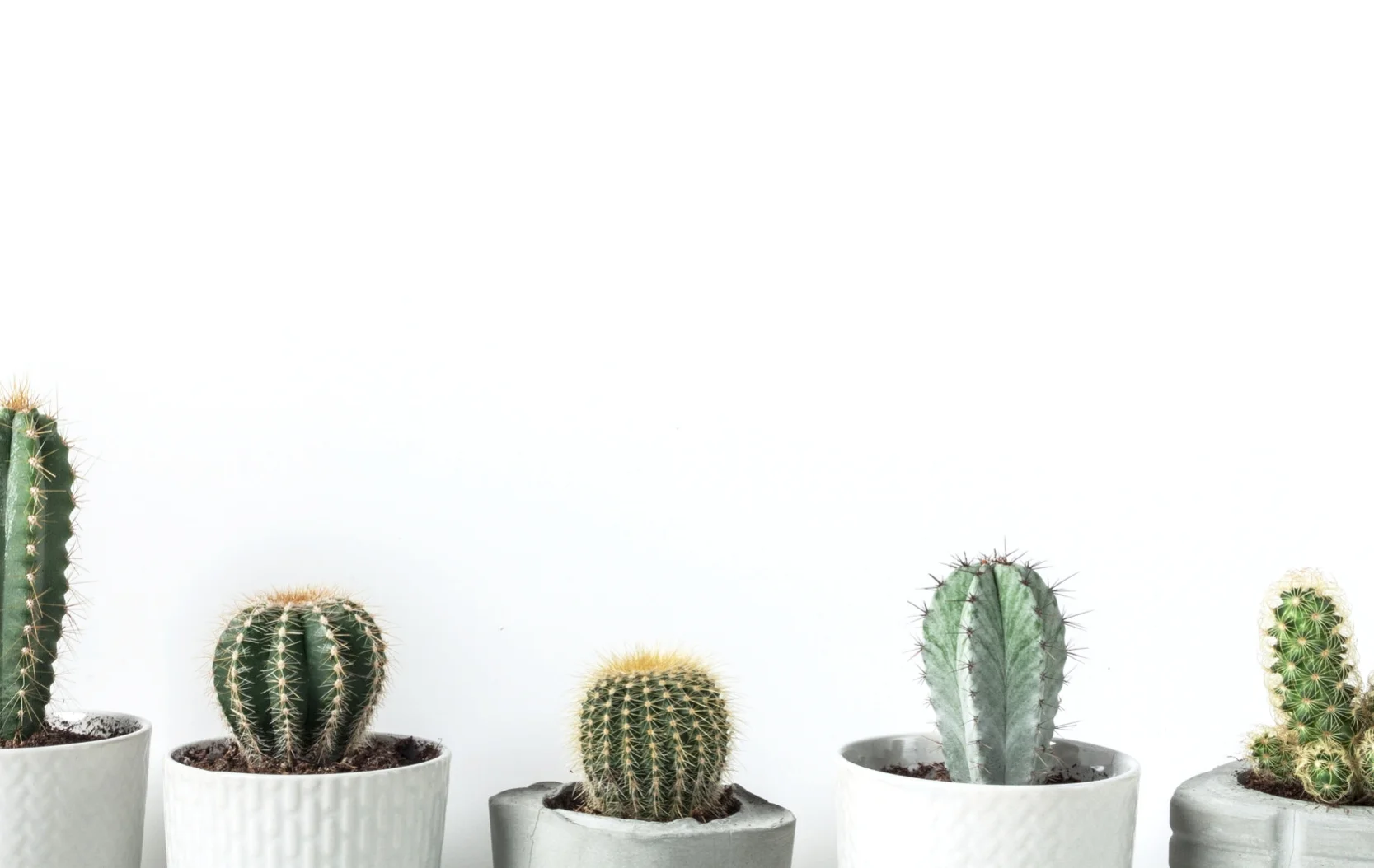 Transform Your Home.