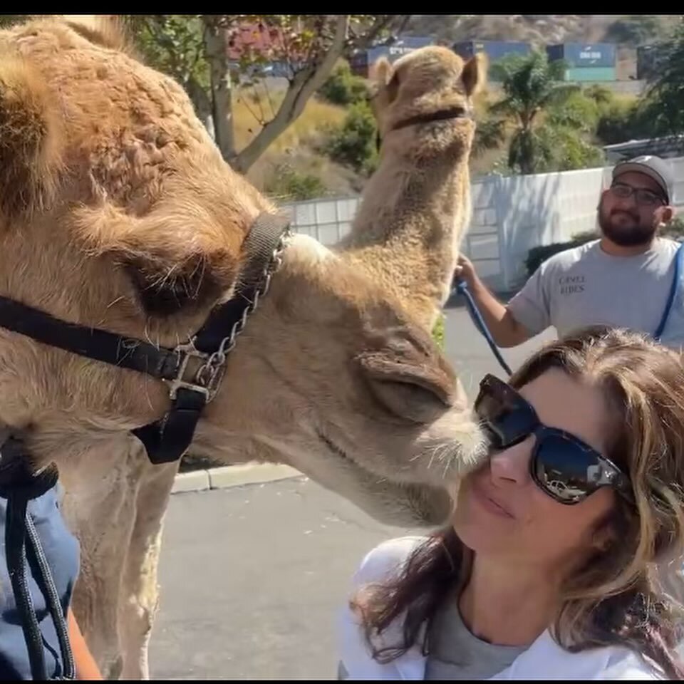 Nothing like starting out your day with a kiss from Diamond the camel! Thank you to @greekandassociatesvethospital for including us  in their 15 year anniversary celebration this past Saturday. And thank you to the many vendors who generously partici