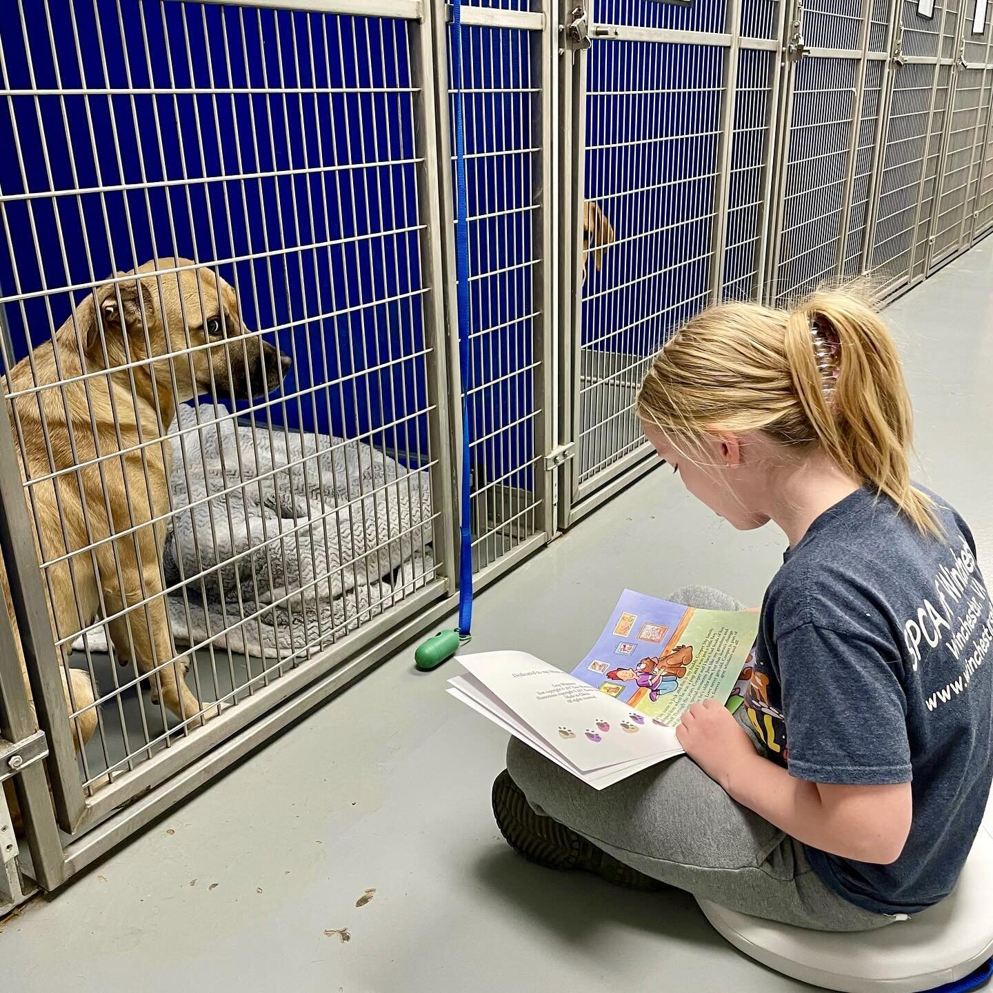 Boosting confidence in a young child while socializing a shelter dog is always a win! Thank you @haws_waukesha and @winchesterareaspca for partnering with us for your shelter reading programs. #literacy #humaneeducation #shelterreading #read #booksfo