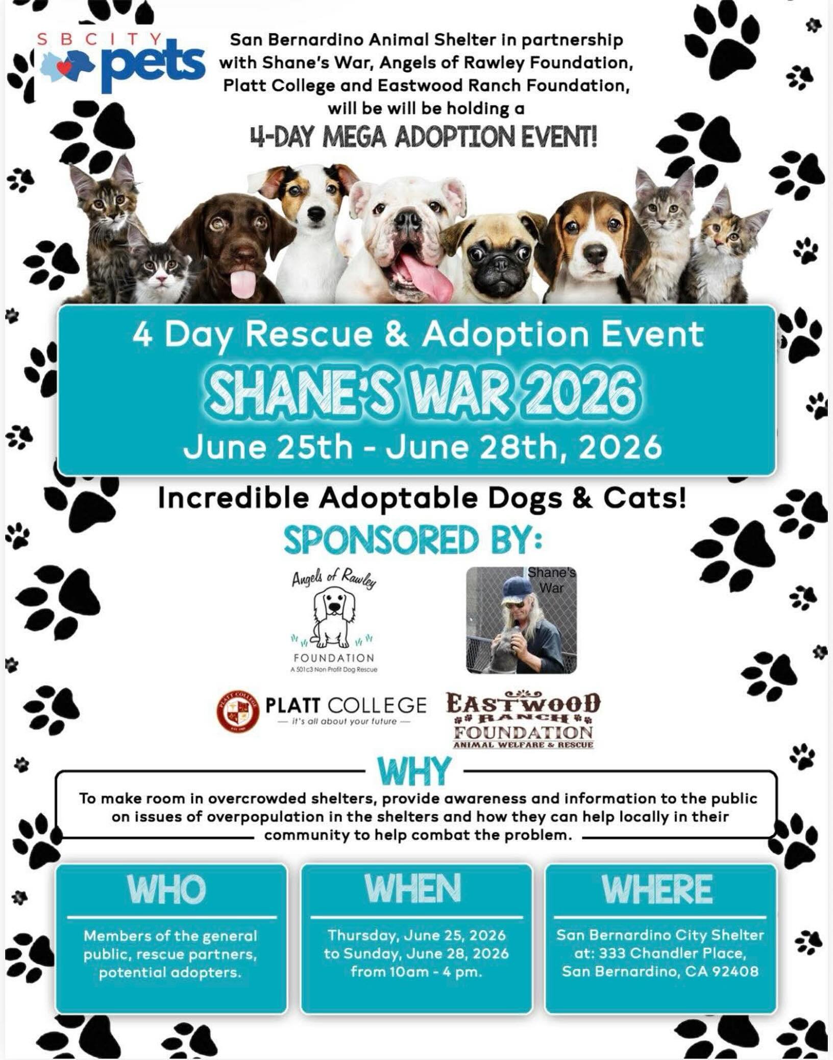 Your new best friend is waiting for you! #adoptdontshop❤️ #dog #puppy #rescuedog #savealifeadopt @eastwoodranch