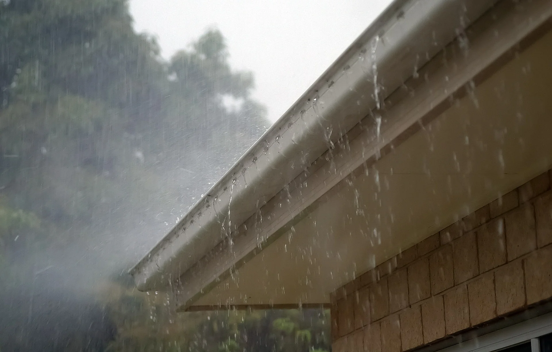 rain-432770_1920.jpg
