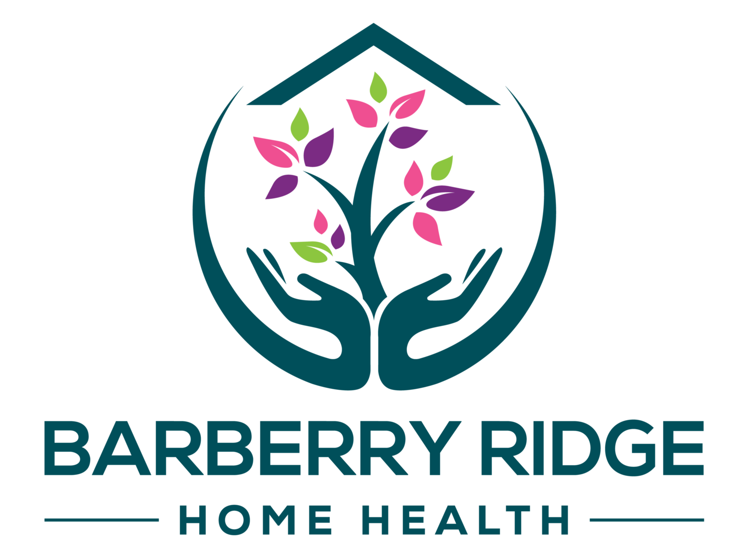 Barberry Ridge Home Health: Pittsburgh In-Home Care