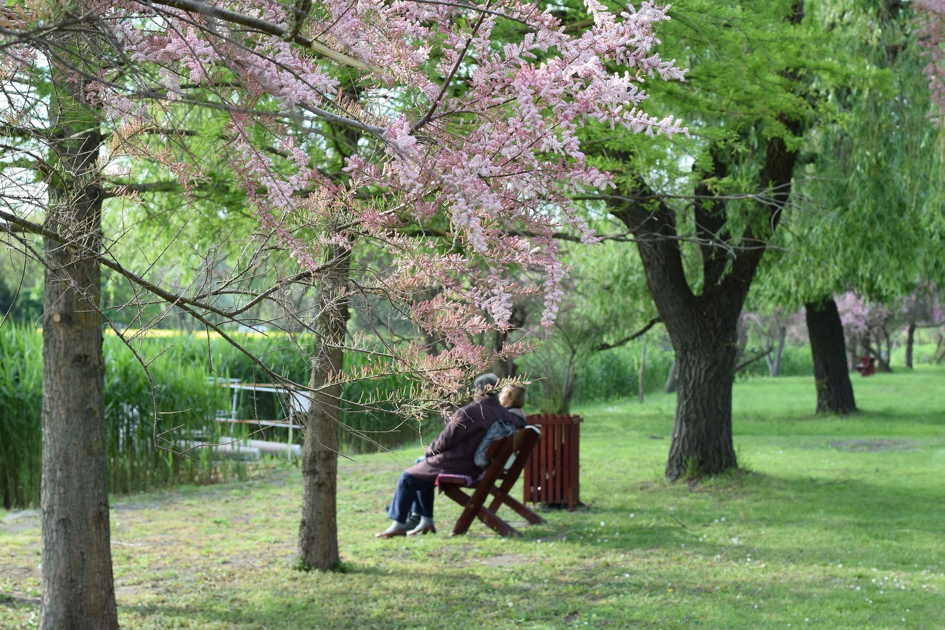 sitting in the park.jpg