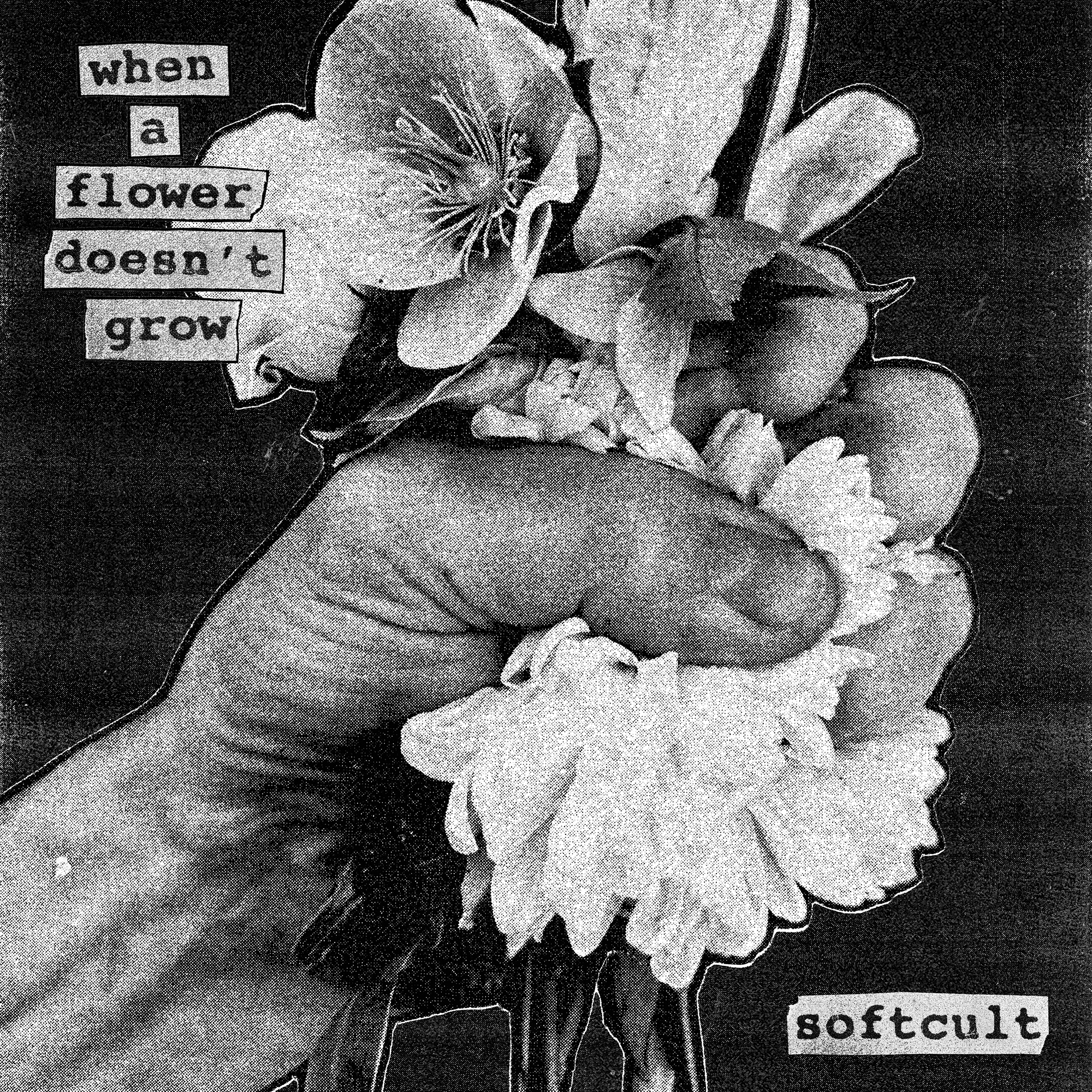 SOFTCULT | WHEN A FLOWER…