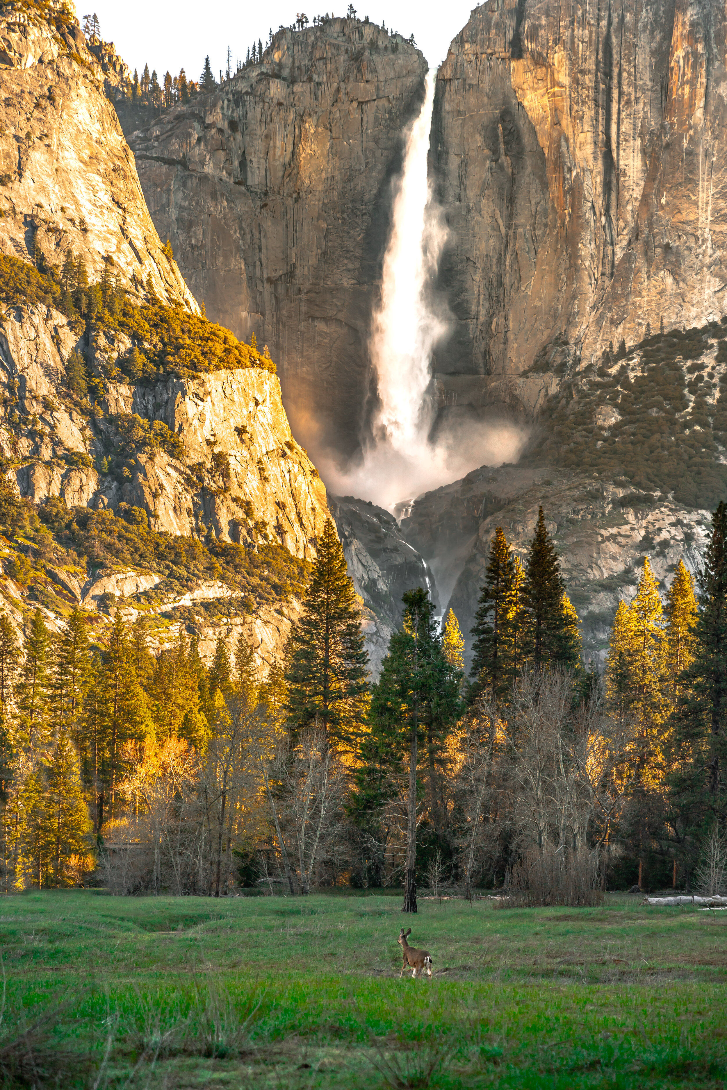 IMG_8164-Edit.jpg