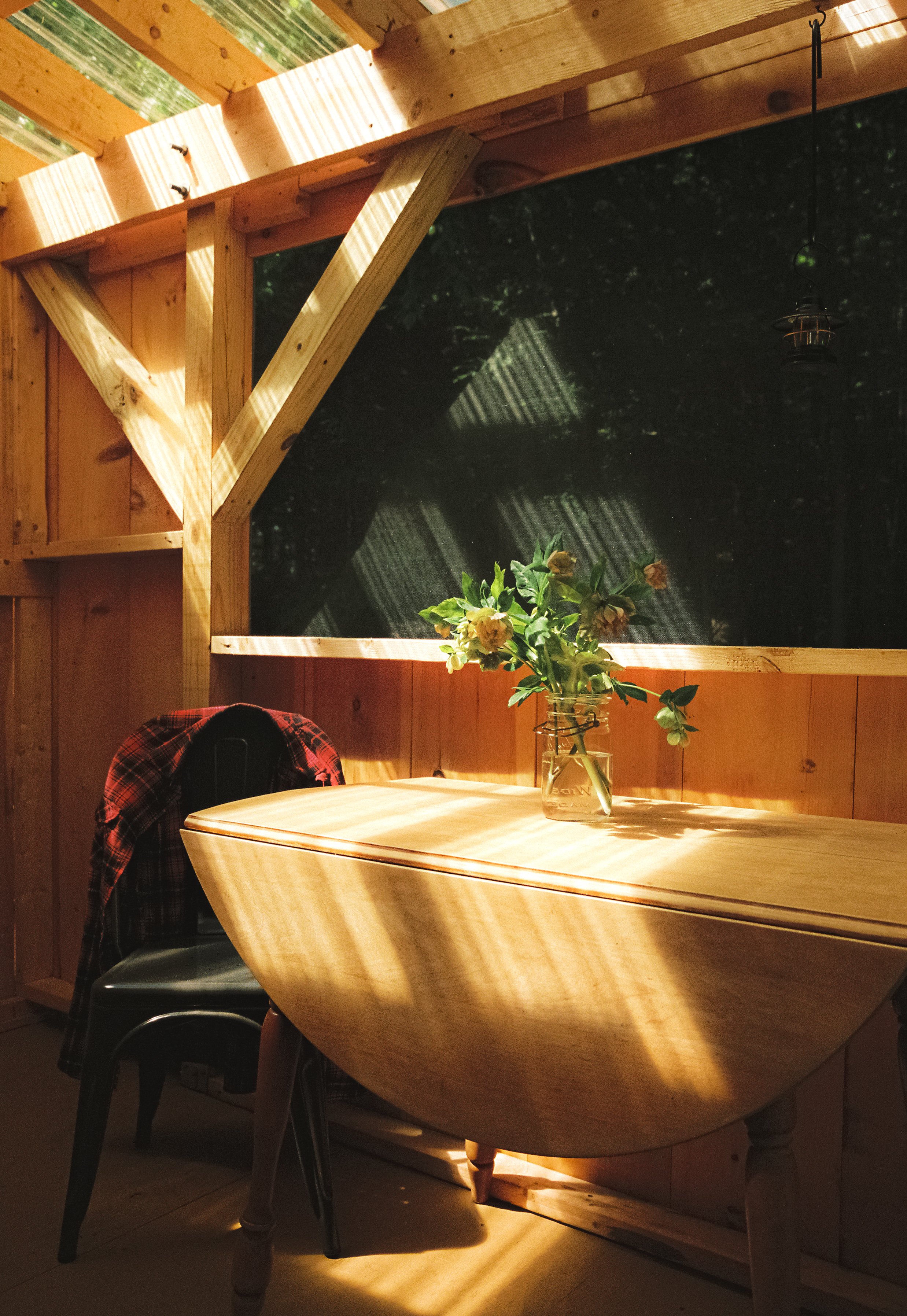 Film Photograph of Tanglebloom Cabin