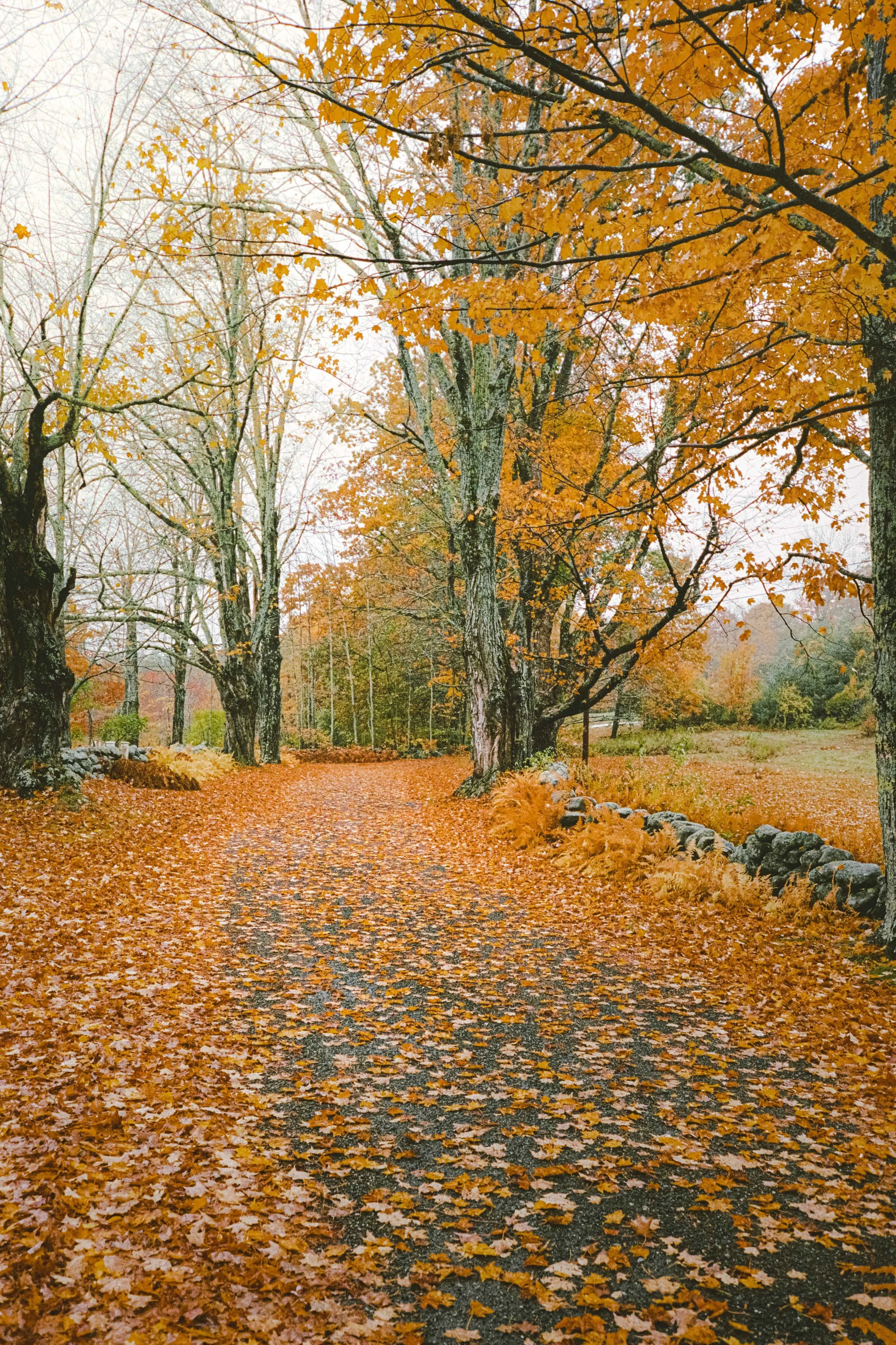 0435_0007.jpg