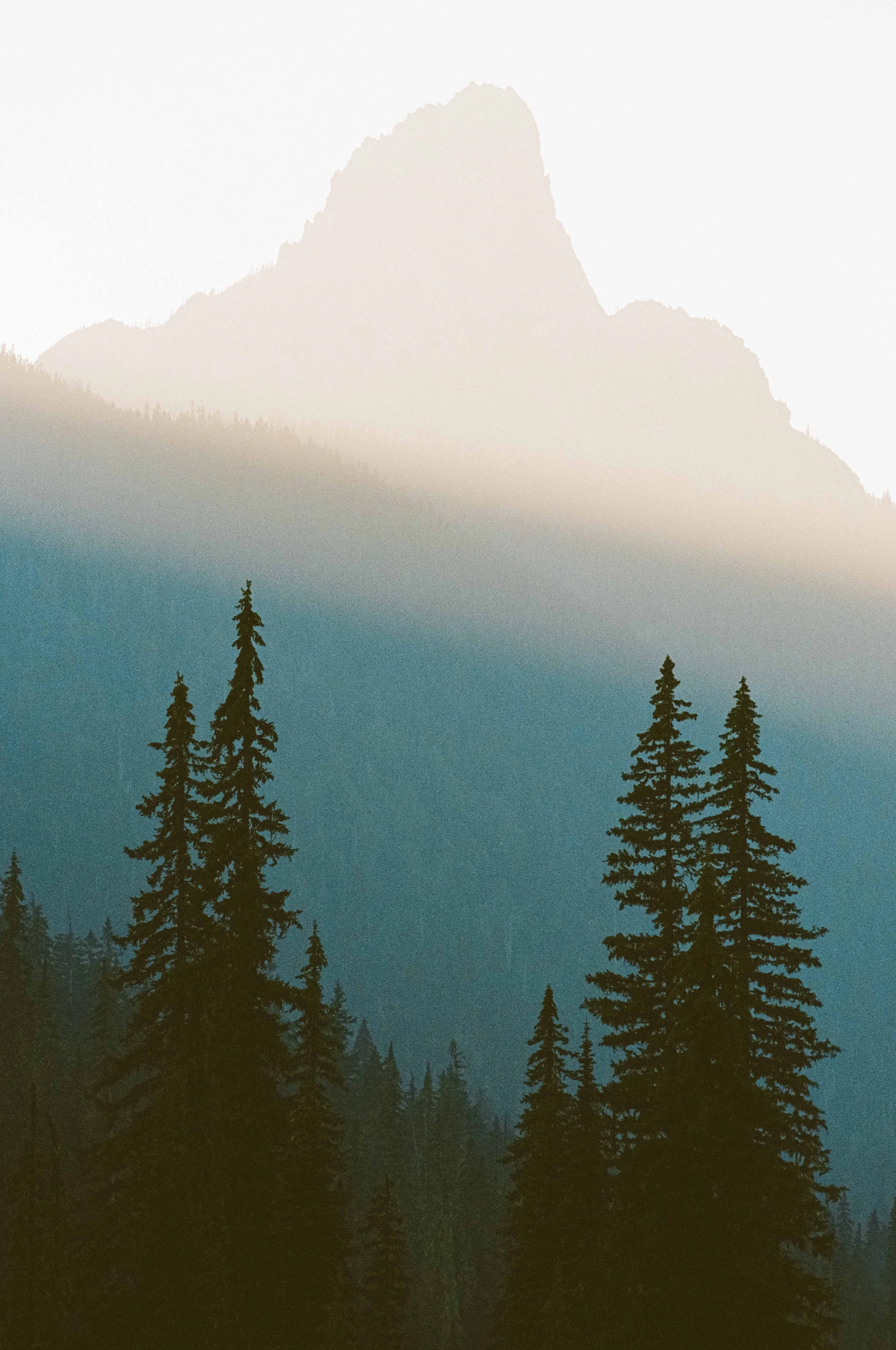 000018570035 copy.jpg