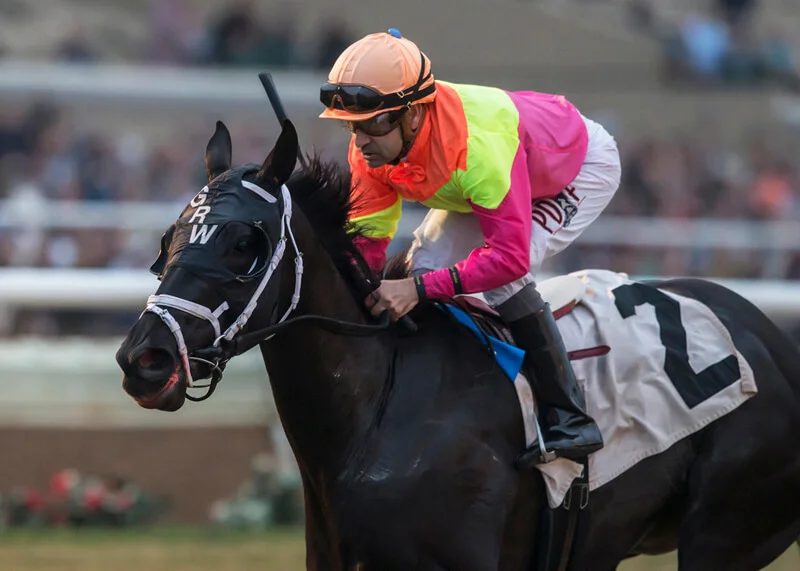 Daddy is a Legend Gets Back to Work