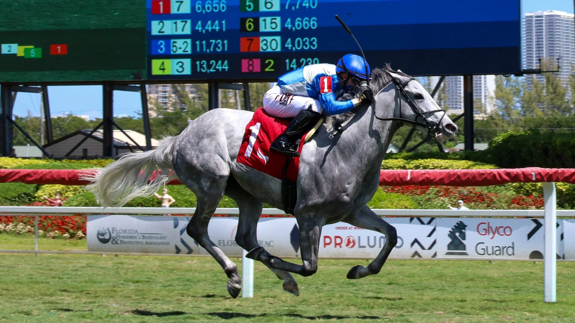 Gray's Fable Wires Field in G3 Appleton S.