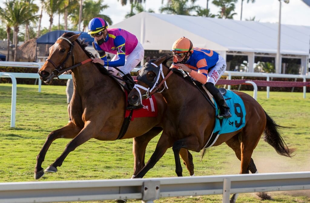 War Like Goddess Outduels Always Shopping to Capture G3 Orchid S.