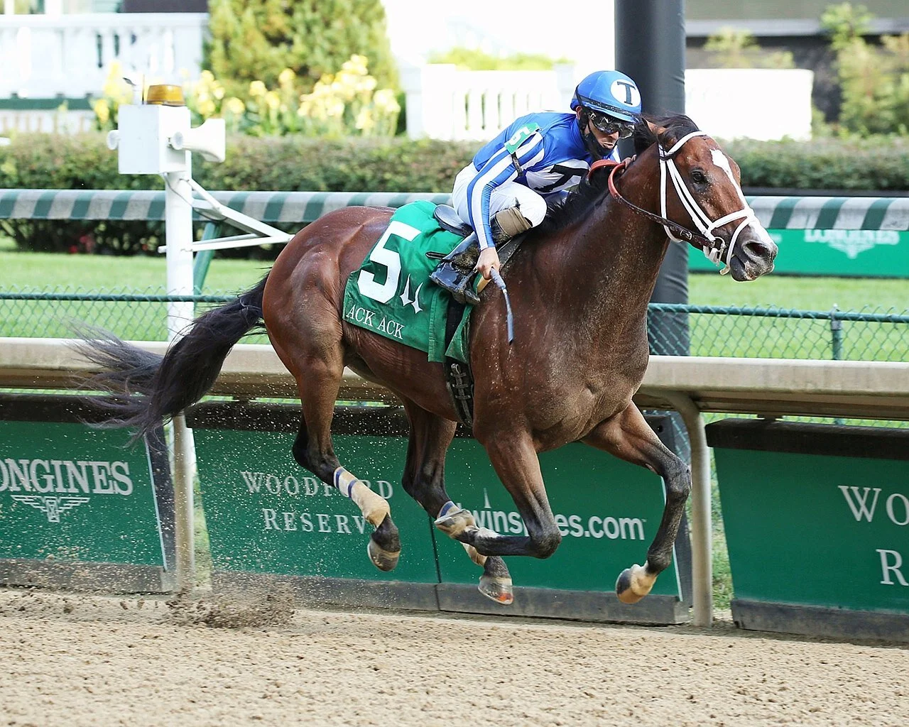 Mr. Money Cashes In With Ack Ack. Stakes Victory