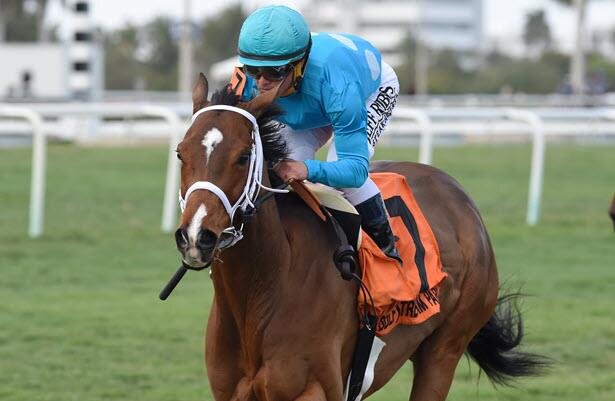 Starship Jubilee Maintains Perfect Season in Ballston Spa