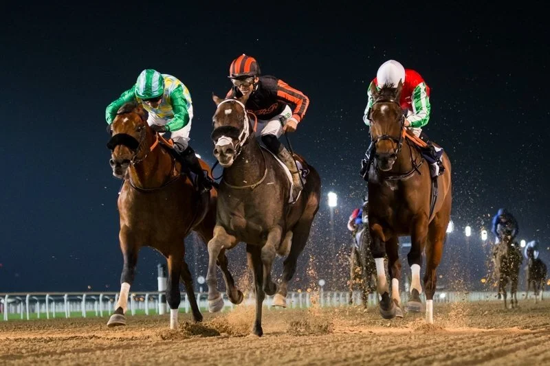 Kimbear Back on Top in Al Maktoum Challenge Round 1 Thriller