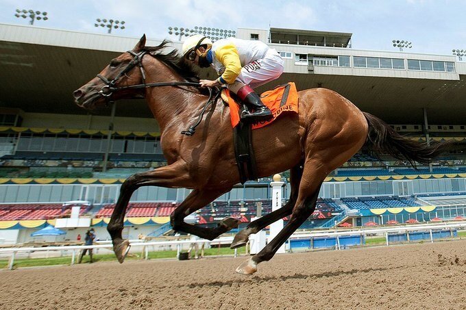 Shirl’s Speight Sails home in Marine Stakes