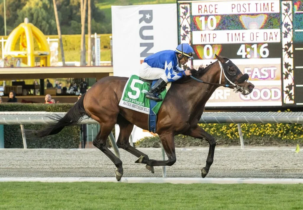 Winning Ways Continue for Mo Forza in Mathis Brothers Mile
