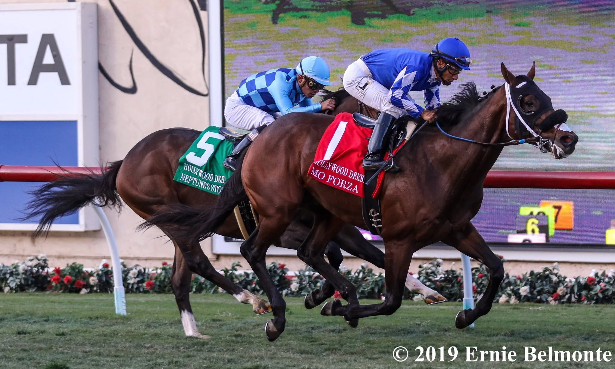 Mo Forza Steals the Show in G1 Hollywood Derby