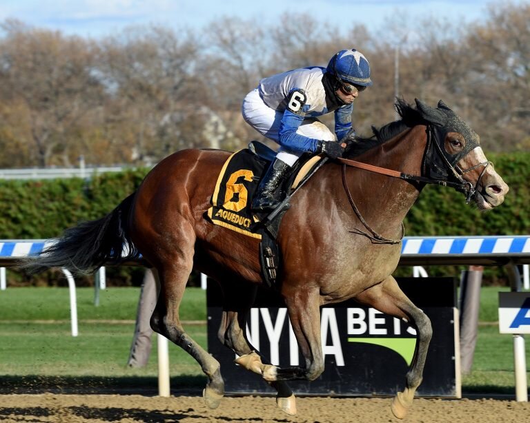 Sweet Victory for Saguaro Row in Pumpkin Pie Stakes