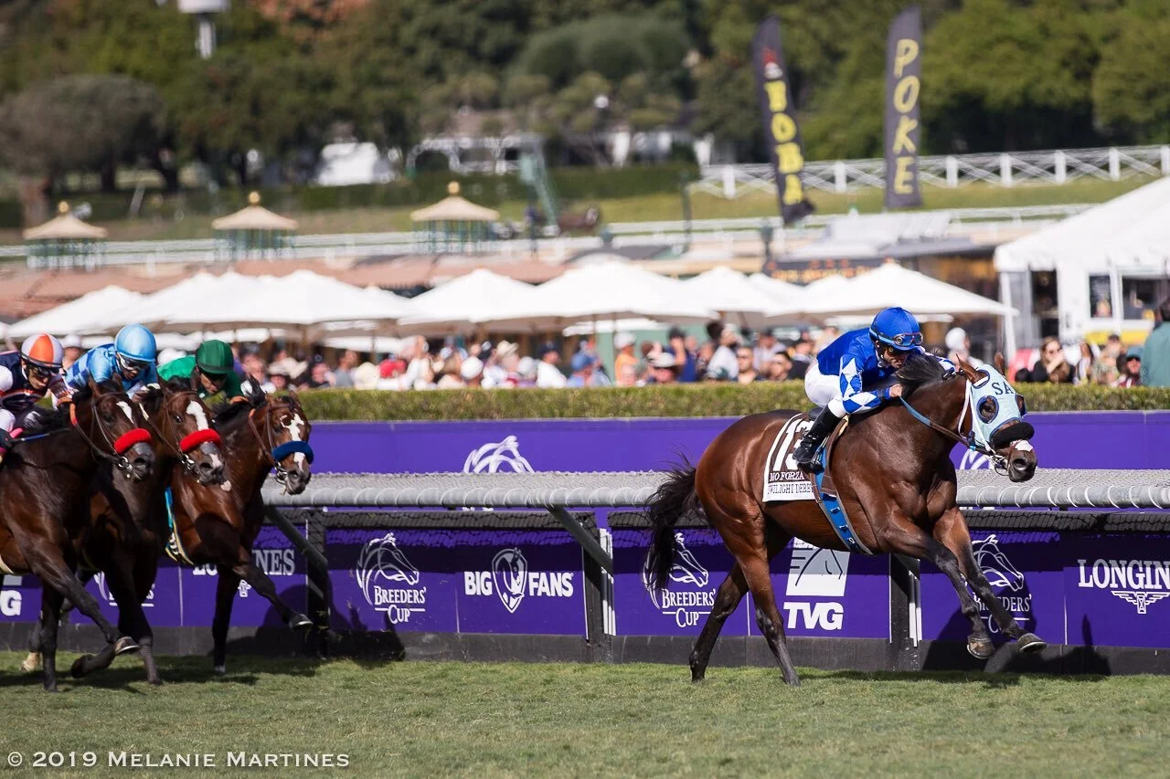 Mo Forza Takes G2 Qatar Twilight Derby