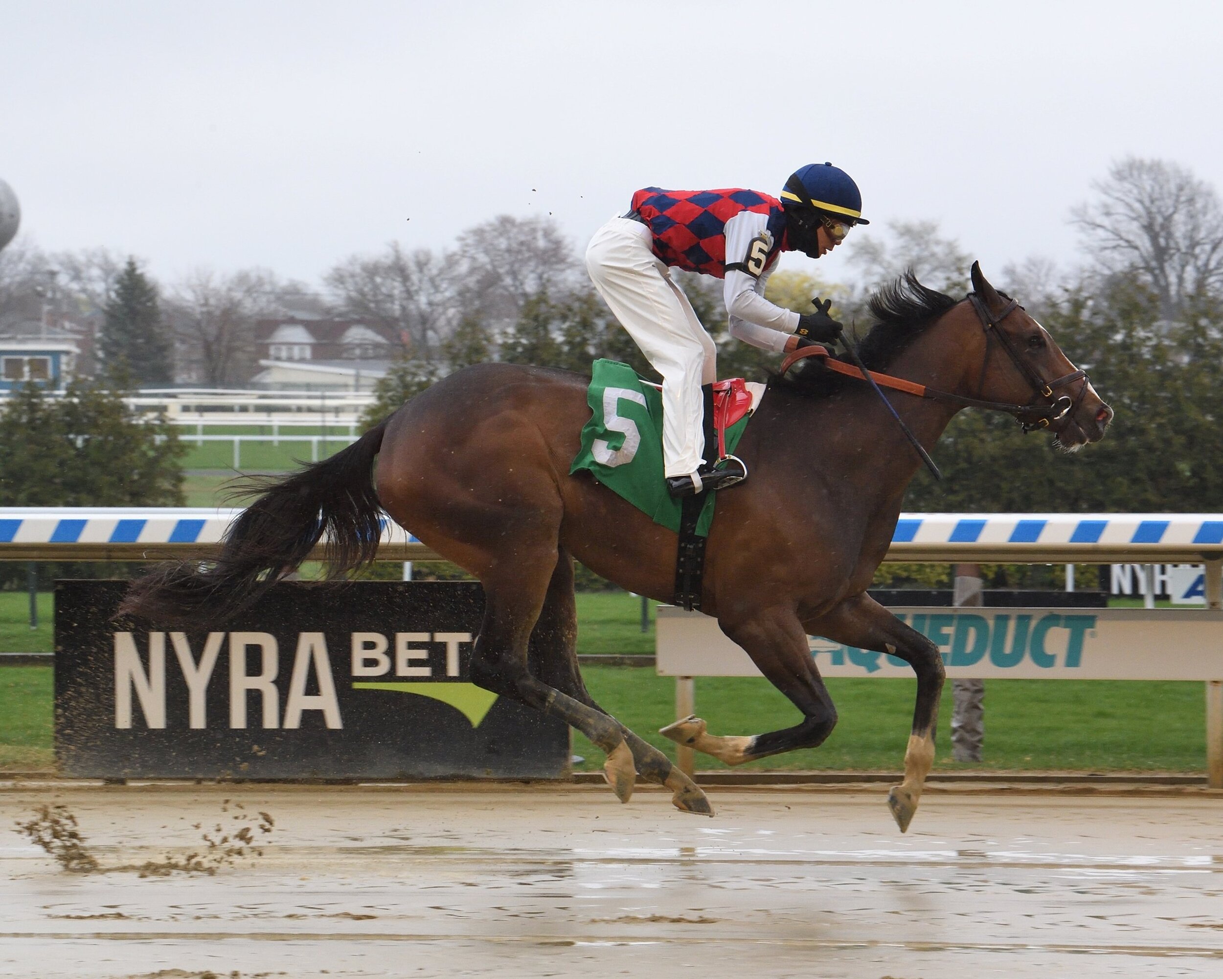 Always Carina Rocks MSW Debut