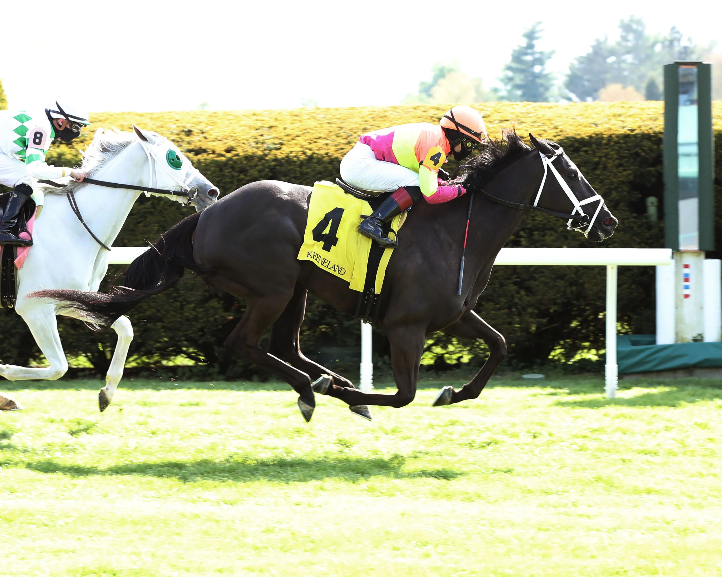 Daddy Is A Legend Back to Business in Allowance Score