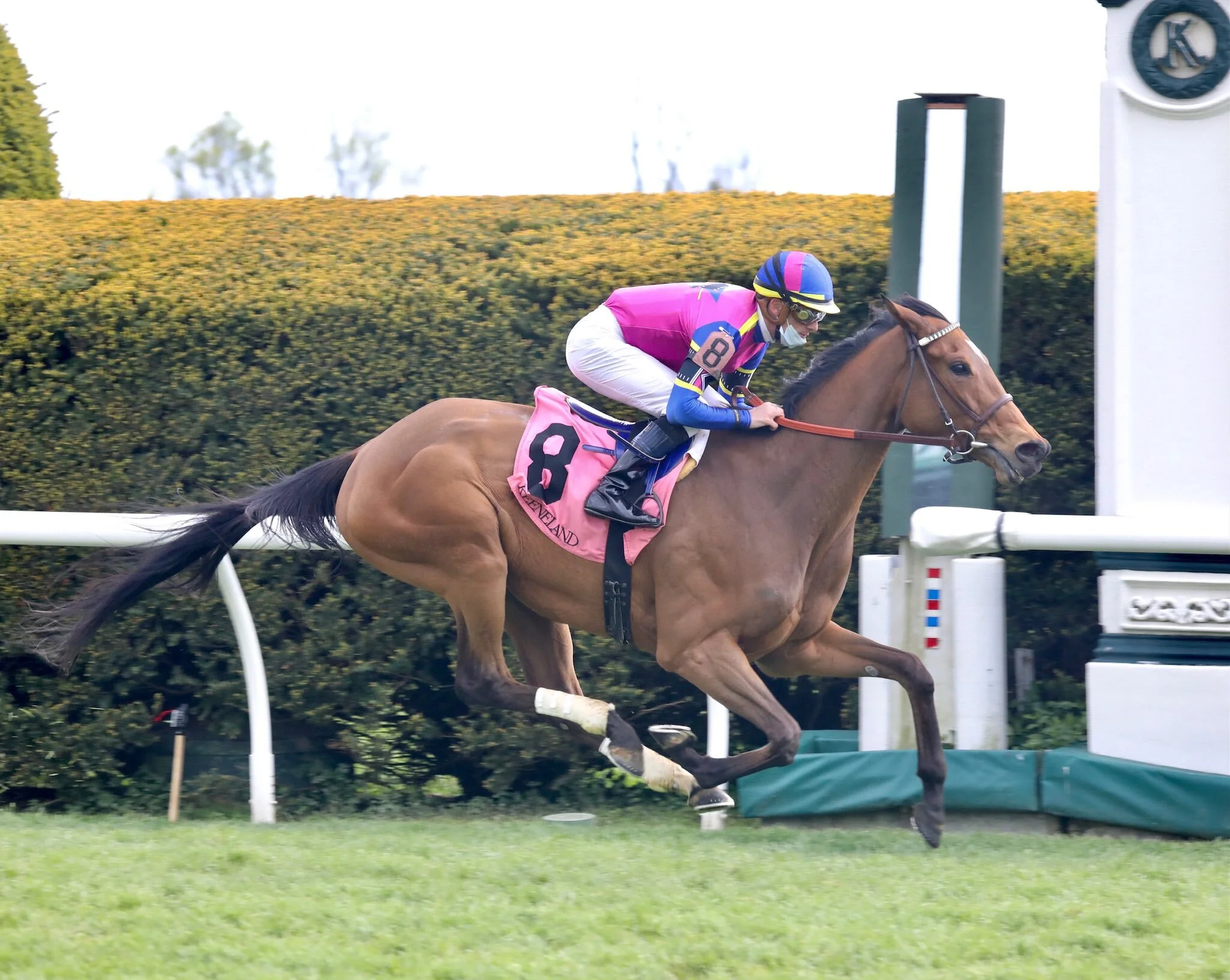 War Like Goddess Delivers Final Blow in G3 Bewitch S.