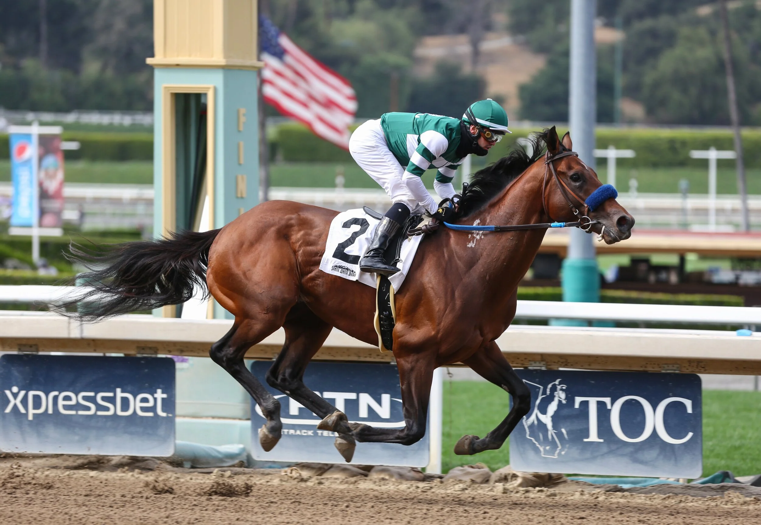 Flightline Soars in MSW Debut