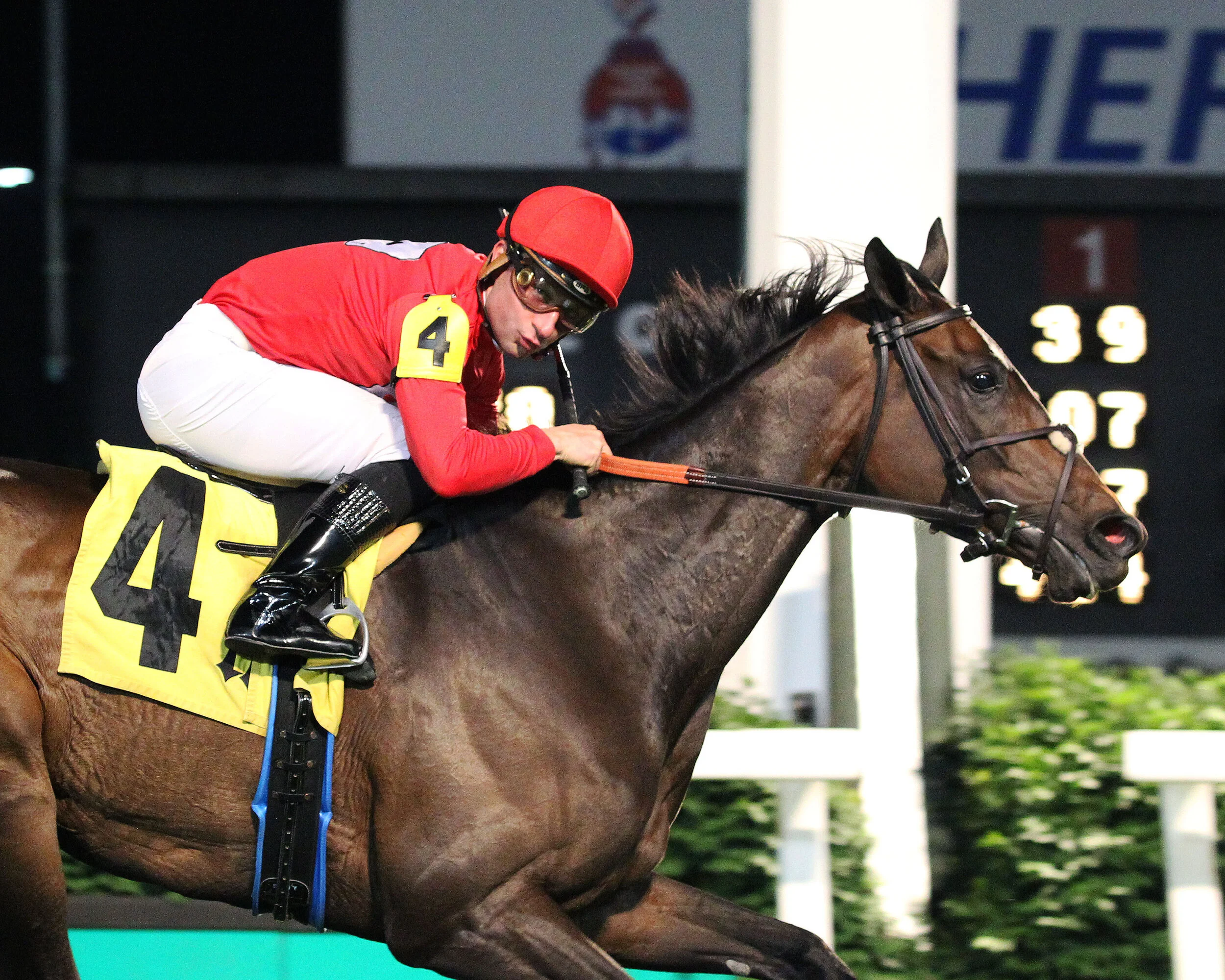 Temple City Terror Outruns Odds for First Stakes Victory