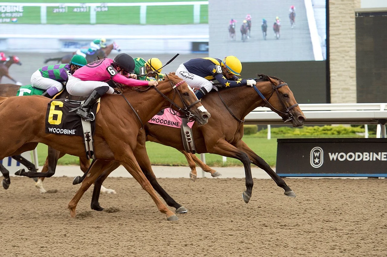 Boardroom Refuses to Lose in G3 Whimsical S.