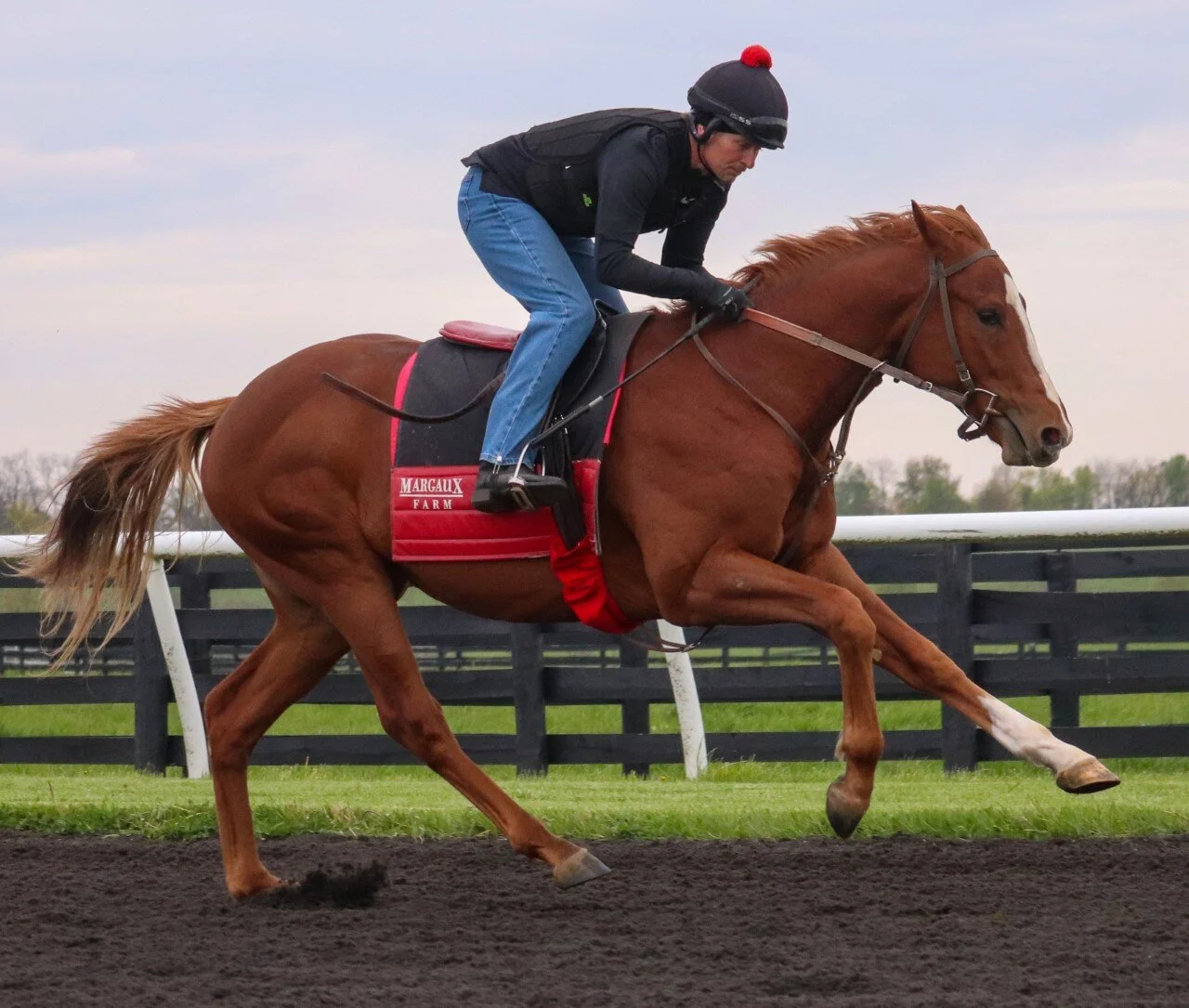 Classic Causeway Turns Heads in MSW Debut at the Spa