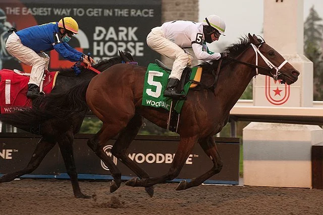 Hicksy Rallies Late To Capture Display S.