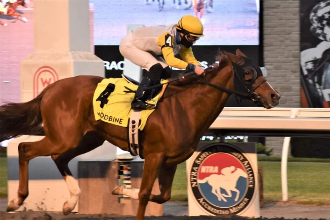 Lady Speightspeare Makes Light Work of G2 Bessarabian S.