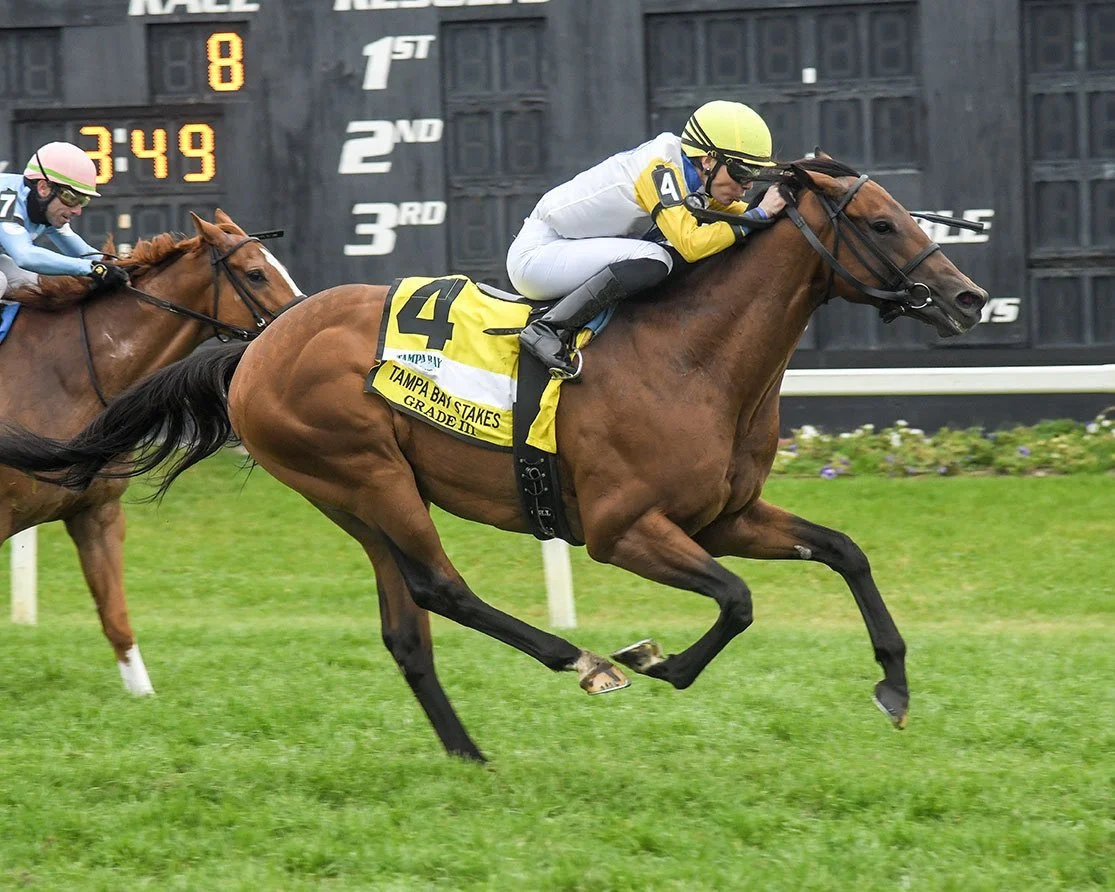 Shirl's Speight Returns to Graded Stakes Form in G3 Tampa Bay S.