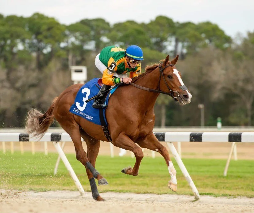 Classic Causeway Is Derby Dreamin'