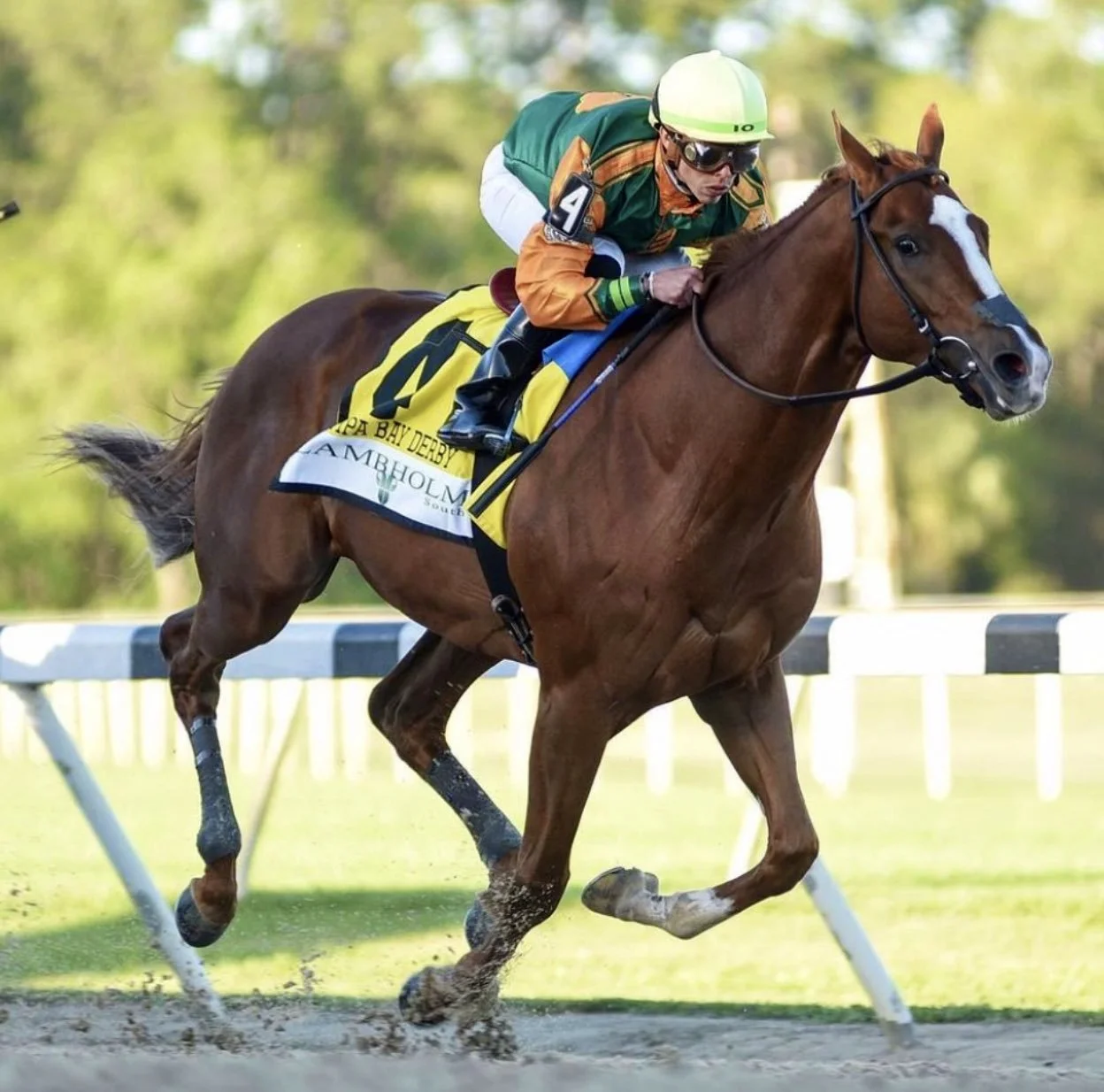Classic Causeway Checks Off Tampa Bay Derby, Leads Derby Points