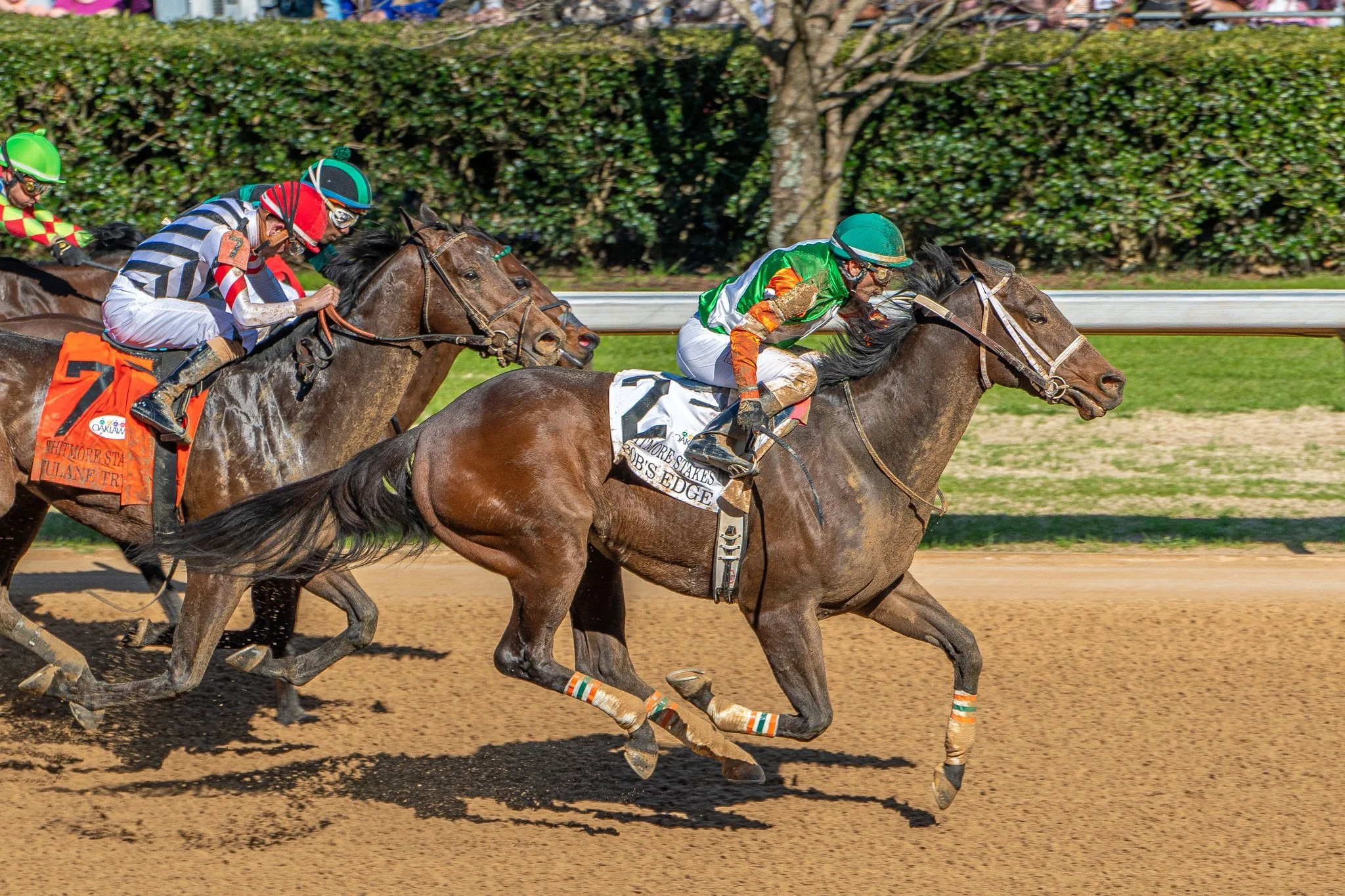 Bob's Edge Last to First in G3 Whitmore S.